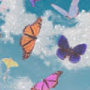 Meet your Posher, Neeley